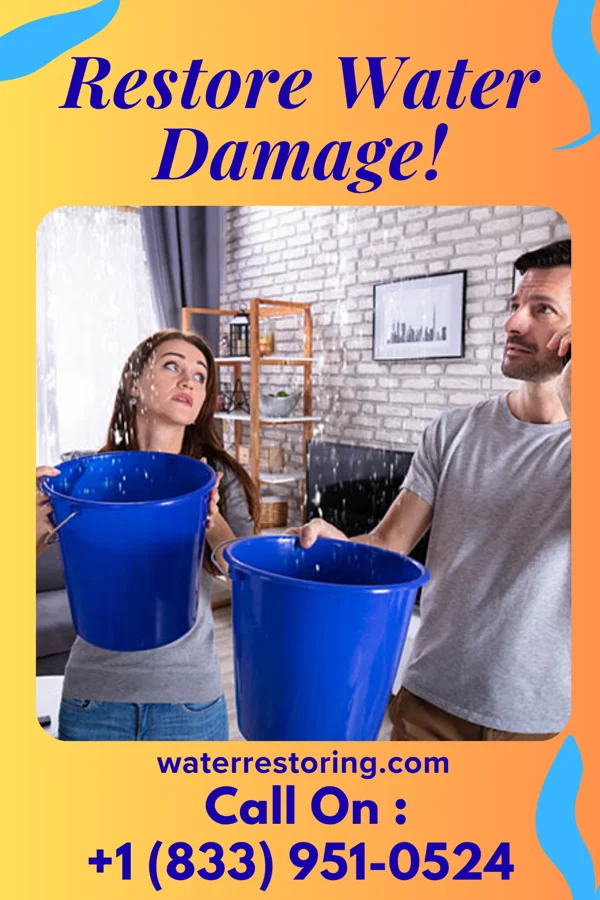 water restoration Solid Sewage Cleanup Partners Clifford