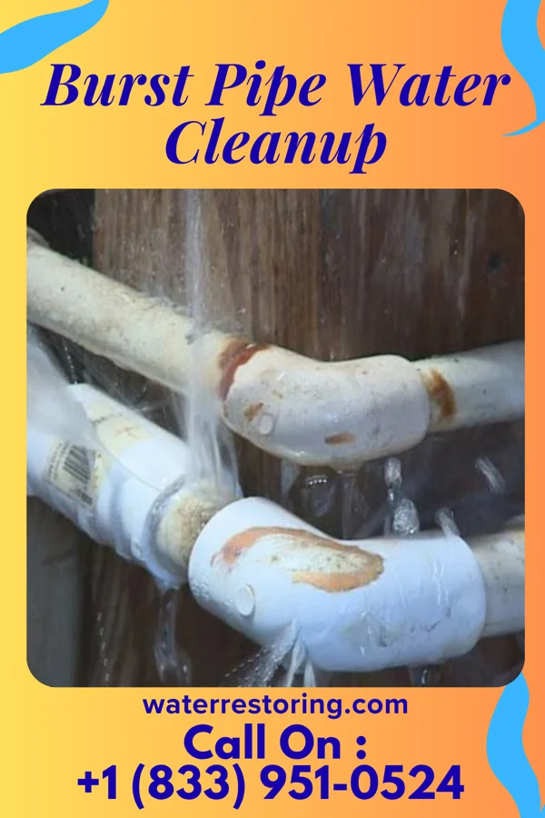 Burst Pipe Water Cleanup in Clifford, MI