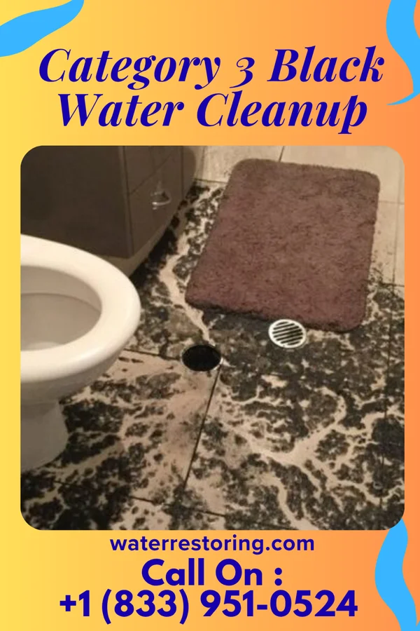 Category 3 Black Water Cleanup in Clifford, MI