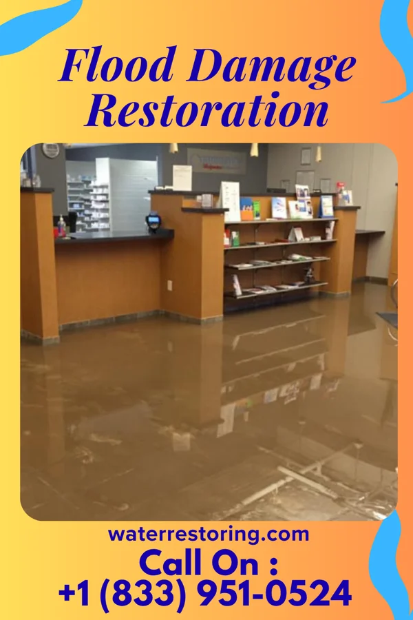 Flood Damage Restoration in Clifford, MI