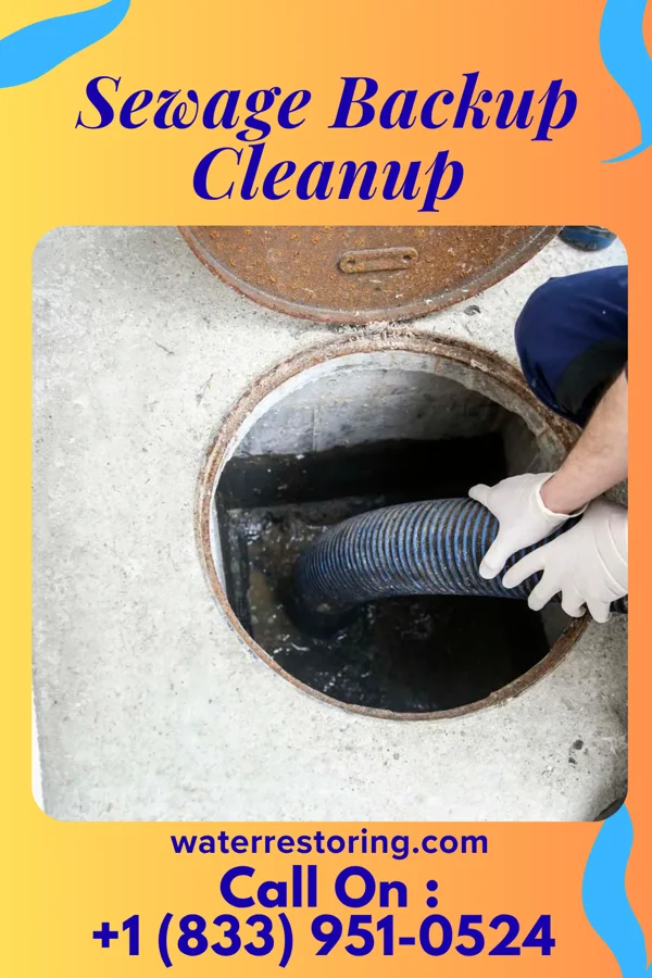 Sewage Backup Cleanup in Clifford, MI