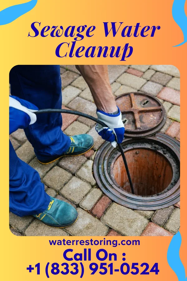 Sewage Water Cleanup in Clifford, MI